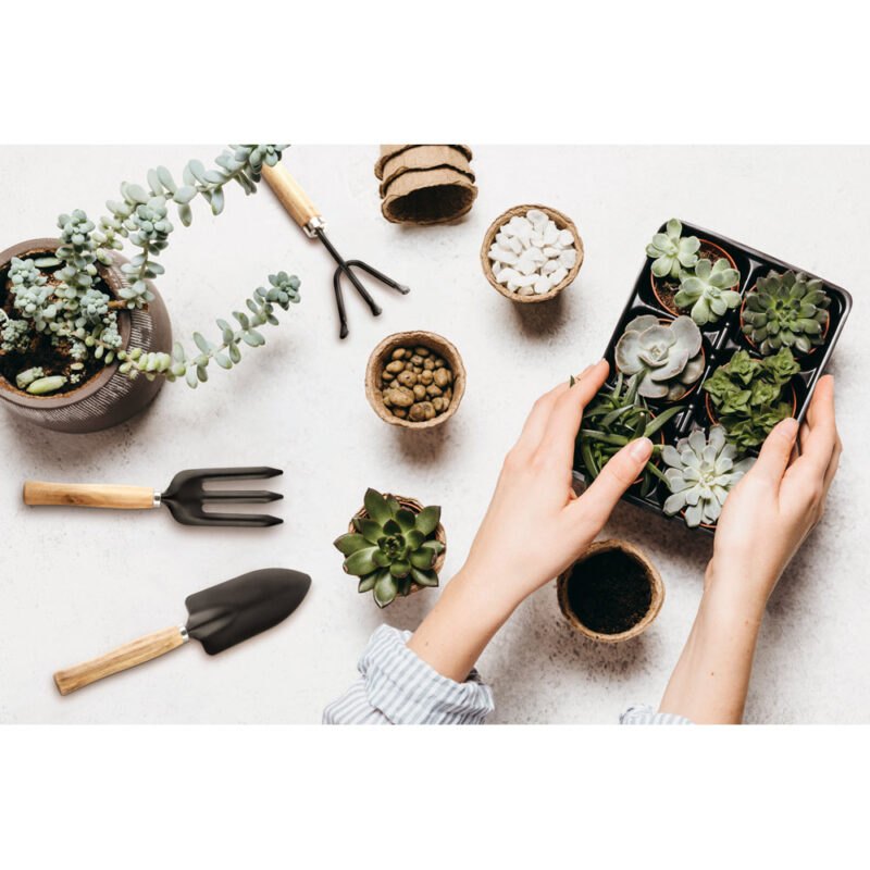 Conjunto de Jardinagem com 3 Ferramentas - Imagem 2